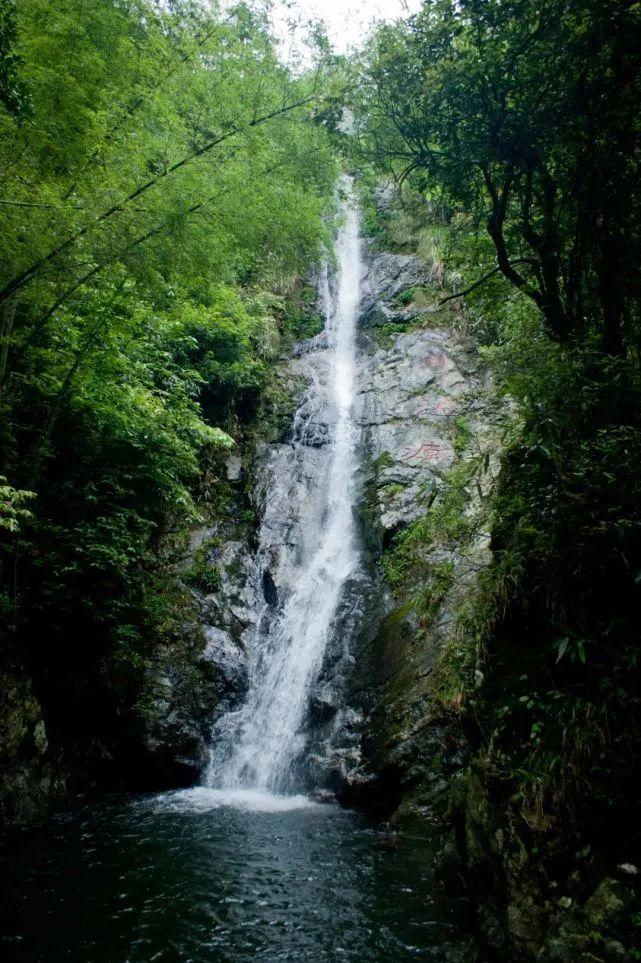 牛油果面包